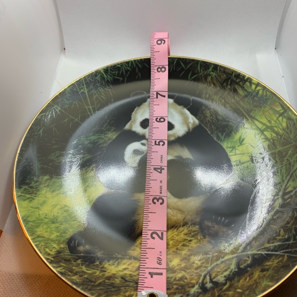 The Panda Collection Plate - Picture 4 of 9